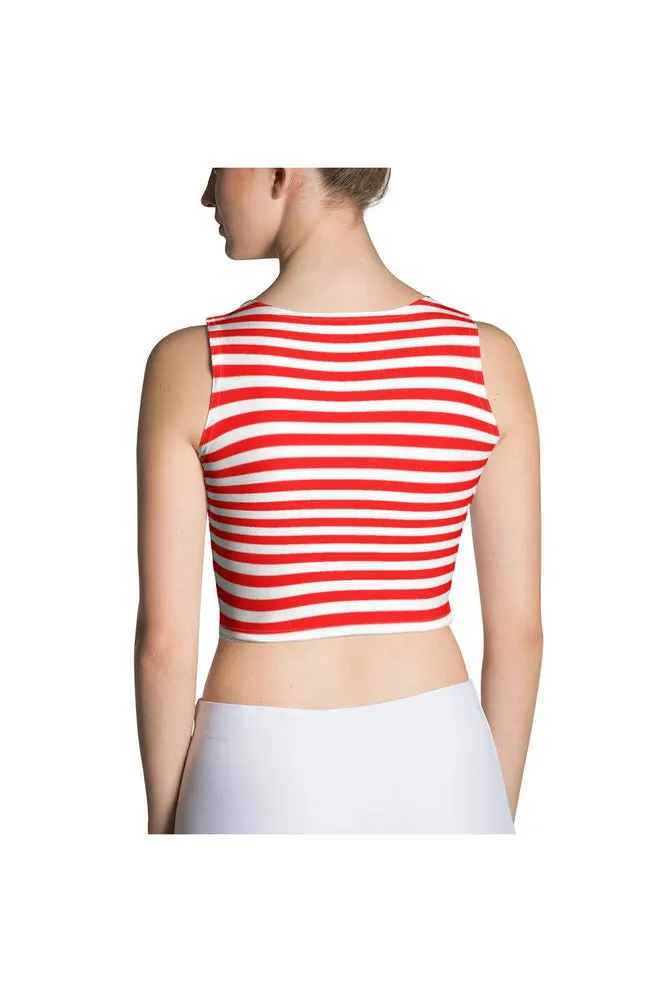 Patriotic Stripes Crop Top