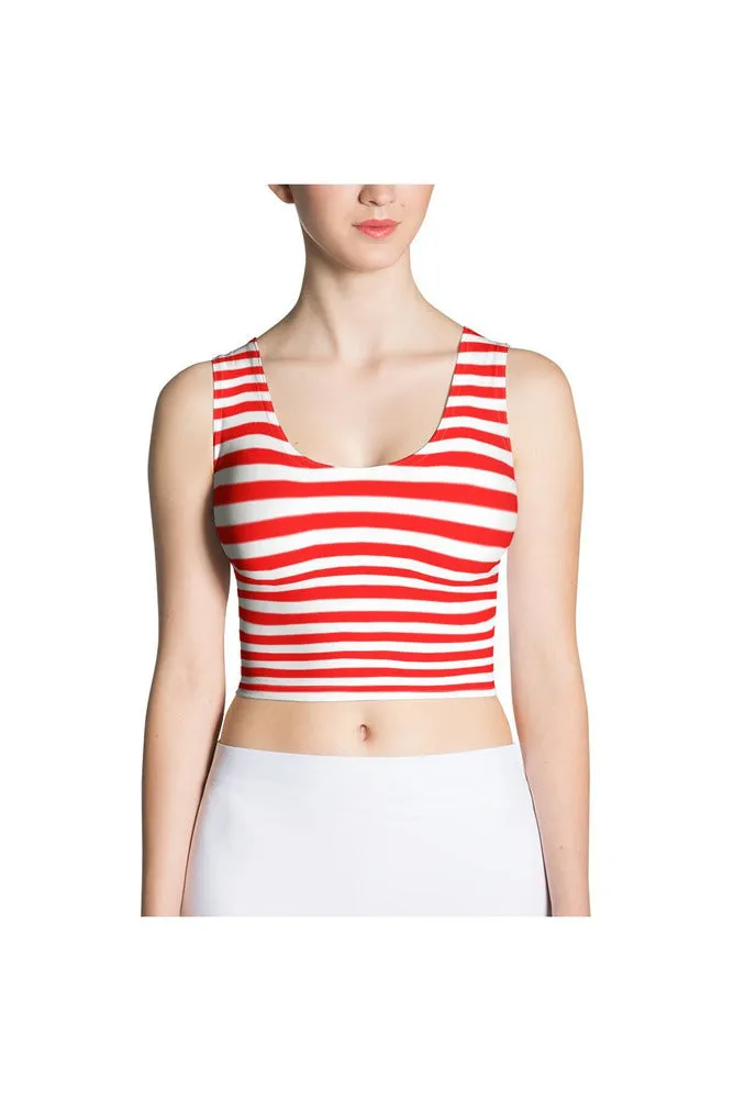 Patriotic Stripes Crop Top